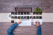 网站流量采购，揭秘提升网站访问量的高效策略