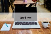 山东省 985