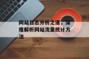 网站日志分析之道，深度解析网站流量统计方法