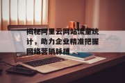 揭秘阿里云网站流量统计，助力企业精准把握网络营销脉搏