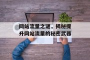 网站流量之谜，揭秘提升网站流量的秘密武器