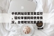 手机网站设置流量监控，轻松掌握网络使用情况，合理规划流量消耗