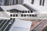 2023年中国体育赛事盛宴，激情与荣耀的交织