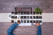 中国行业网站流量排名揭秘，洞察行业发展趋势，助力企业精准营销