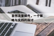 自然流量提升，一个策略与实践的探讨