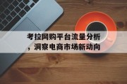 考拉网购平台流量分析，洞察电商市场新动向