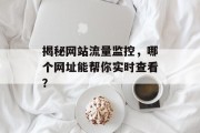 揭秘网站流量监控，哪个网址能帮你实时查看？