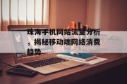 珠海手机网站流量分析，揭秘移动端网络消费趋势