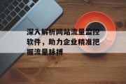 深入解析网站流量监控软件，助力企业精准把握流量脉搏