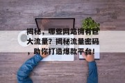 揭秘，哪些网站拥有巨大流量？揭秘流量密码，助你打造爆款平台！