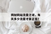 揭秘网站流量之谜，每天多少流量才算正常？