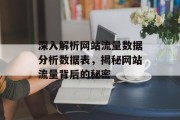 深入解析网站流量数据分析数据表，揭秘网站流量背后的秘密