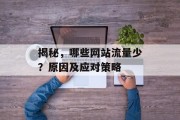 揭秘，哪些网站流量少？原因及应对策略