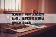全面解析网站流量查询社保，如何高效掌握社保信息流动态