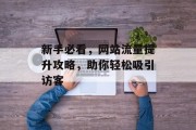 新手必看，网站流量提升攻略，助你轻松吸引访客