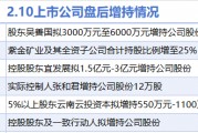 2月10日增减持汇总：雅戈尔等6股增持 逸飞激光等13股减持（表）