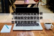 机场国内网站流量分析，揭秘航空业数字化转型背后的数据密码