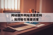 揭秘国外网站流量密码，如何吸引海量访客