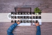 网站流量优化策略，如何有效利用网站流量提升用户体验和转化率