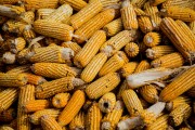 如何知晓上海中储库的相关情况？这个中储库的功能和作用是什么？