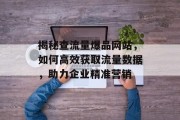 揭秘查流量爆品网站，如何高效获取流量数据，助力企业精准营销
