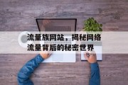 流量族网站，揭秘网络流量背后的秘密世界