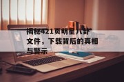 揭秘421页明星八卦文件，下载背后的真相与警示