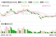 兴森科技：FCBGA封装基板立足于芯片封装材料的自主配套