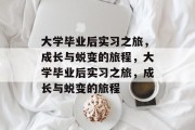 大学毕业后实习之旅，成长与蜕变的旅程，大学毕业后实习之旅，成长与蜕变的旅程
