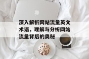 深入解析网站流量英文术语，理解与分析网站流量背后的奥秘