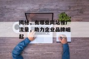 揭秘，有哪些网站推广流量，助力企业品牌崛起