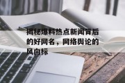 揭秘爆料热点新闻背后的好网名，网络舆论的风向标