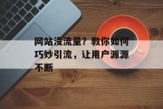 网站没流量？教你如何巧妙引流，让用户源源不断