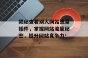 揭秘查看别人网站流量插件，掌握网站流量秘密，提升网站竞争力！