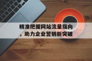 精准把握网站流量指向，助力企业营销新突破