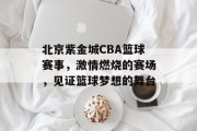 北京紫金城CBA篮球赛事，激情燃烧的赛场，见证篮球梦想的舞台