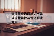 查流量查询网站，一站式流量监控与优化解决方案