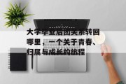 大学毕业后团关系转回哪里，一个关于青春、归属与成长的旅程