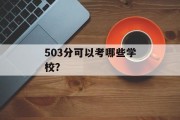 503分可以考哪些学校？