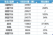 蔚来跟进特斯拉5年0息政策，1月新势力车企座次再一次生变