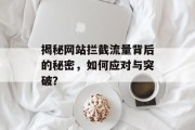 揭秘网站拦截流量背后的秘密，如何应对与突破？