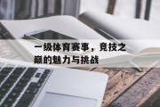 一级体育赛事，竞技之巅的魅力与挑战