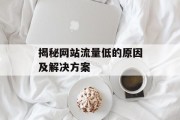 揭秘网站流量低的原因及解决方案
