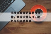 揭秘哪些网站容易推流量，掌握流量入口，助力你的网站发展