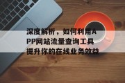 深度解析，如何利用APP网站流量查询工具提升你的在线业务效益