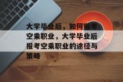 大学毕业后，如何报考空乘职业，大学毕业后报考空乘职业的途径与策略