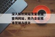 深入解析网站流量数据查询网站，助力企业精准营销与优化