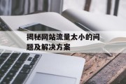 揭秘网站流量太小的问题及解决方案