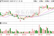 中科电气：公司及子公司无逾期对外担保情况