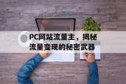 PC网站流量主，揭秘流量变现的秘密武器